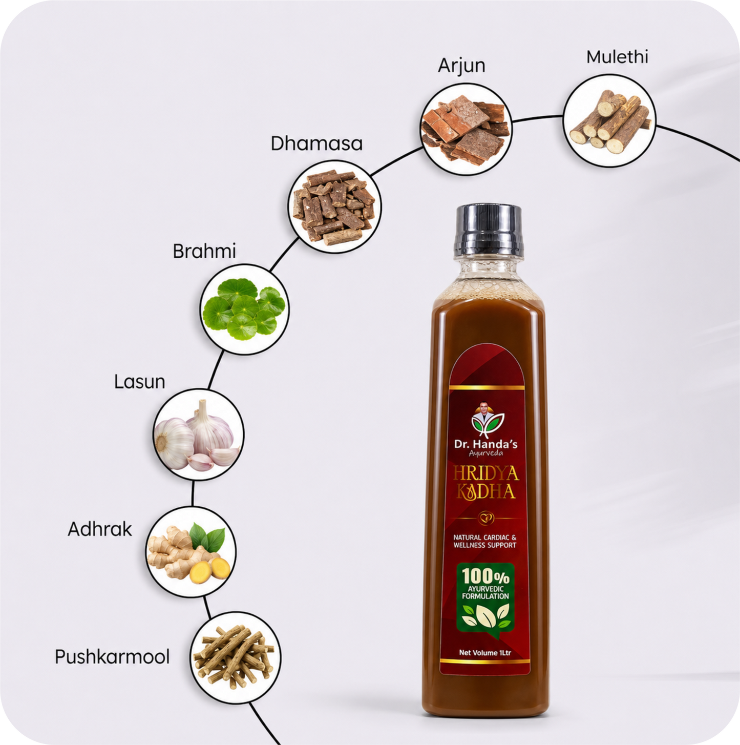 Dr. Handa's Hridya Kadha — Ayurvedic Heart Health & Blood Circulation Support Kadha