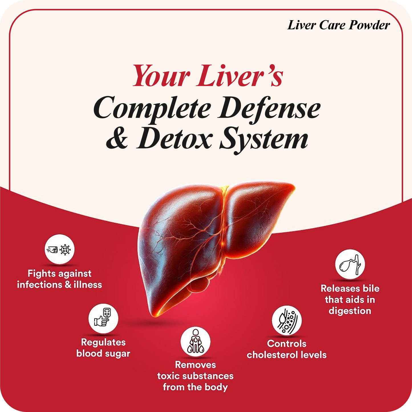 Dr Handa’s Ayurveda Liver Care Powder