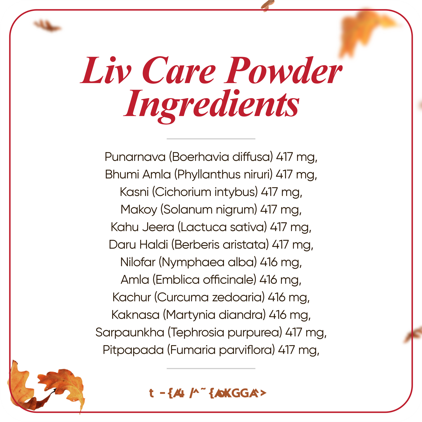 Dr Handa’s Ayurveda Liver Care Powder